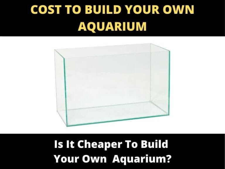 Cost Comparison Building Your Own Aquarium vs. Buying Which Saves