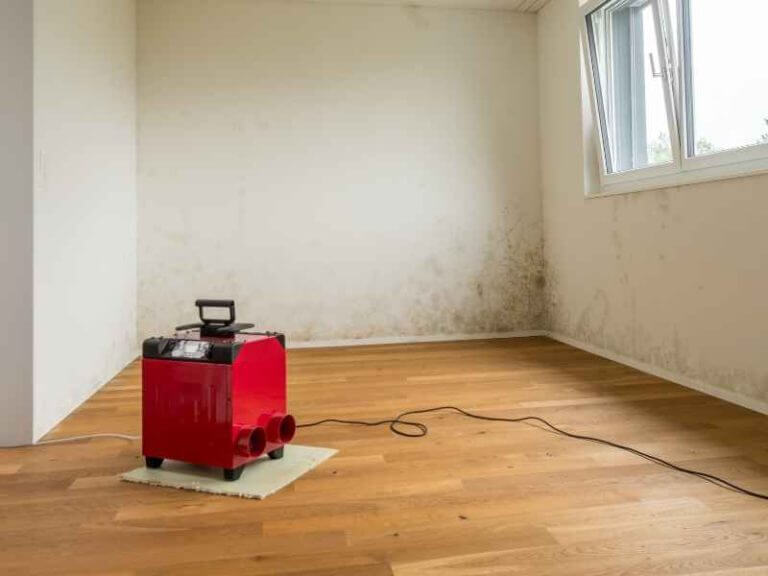 How Long Should I Run a Dehumidifier? ToolsOwner