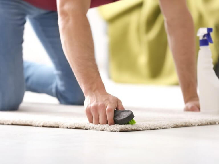 How To Fix Matted Carpet In High Traffic Areas ToolsOwner