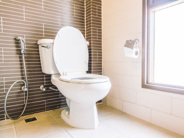 How Do You Stop A Toilet From Continuously Running? ToolsOwner