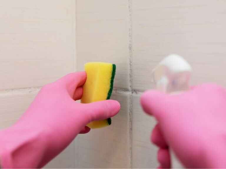 What Is The Best Way To Clean Tile Grout? ToolsOwner